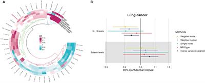 Causal association of circulating cytokines with the risk of lung cancer: a Mendelian randomization study
